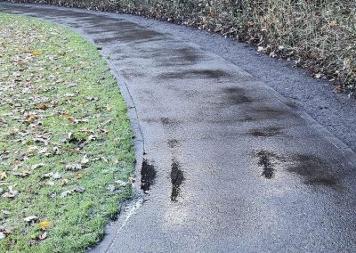 Snoeiwerk en kanten na